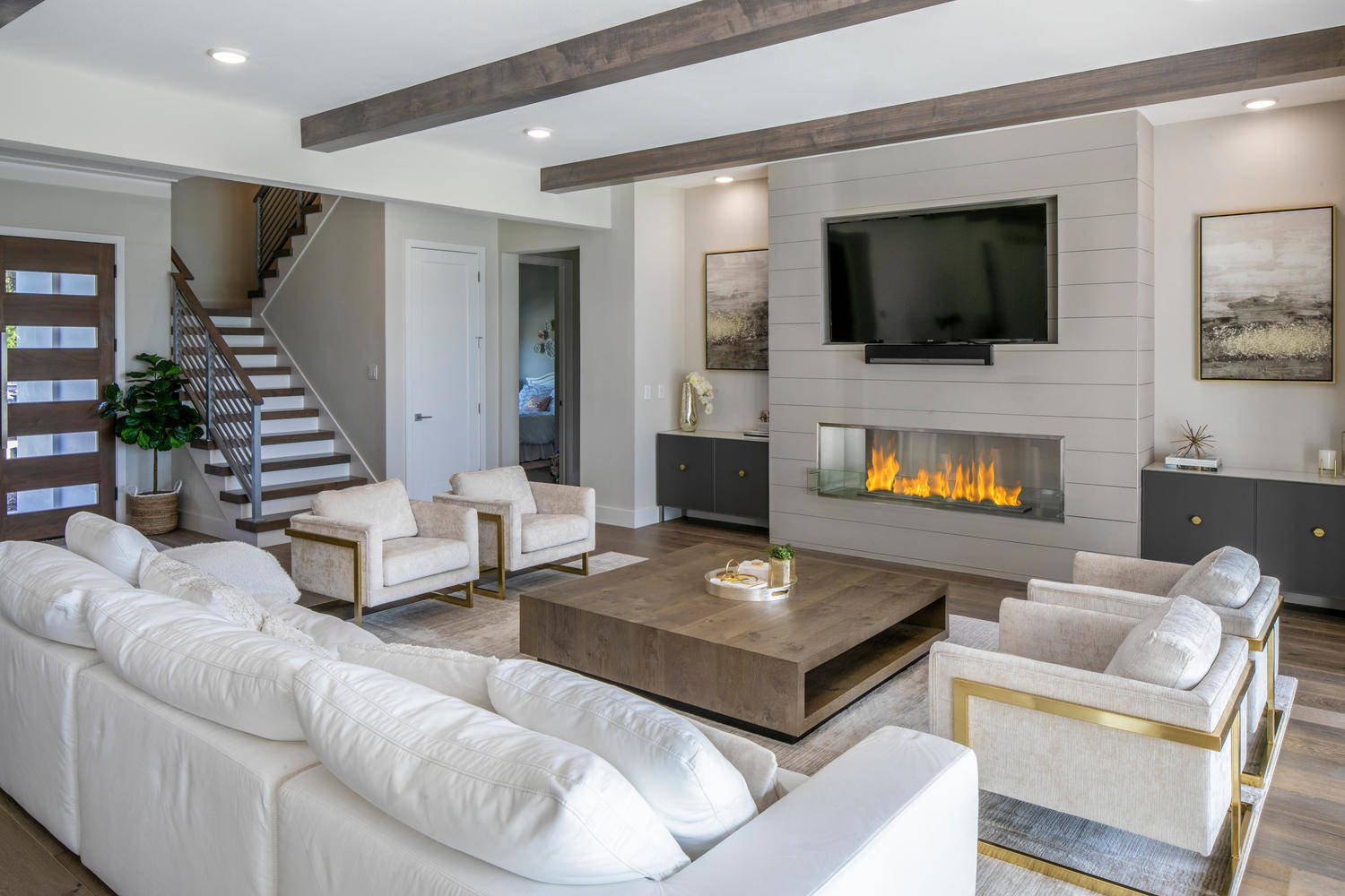 Modern Living Room